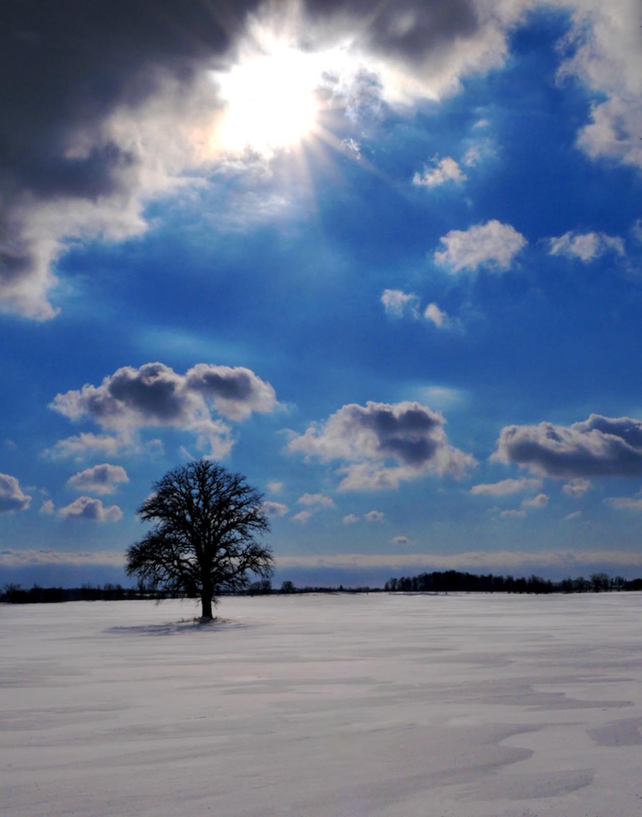 Ontario