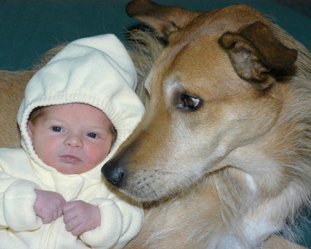 January 21, 2004