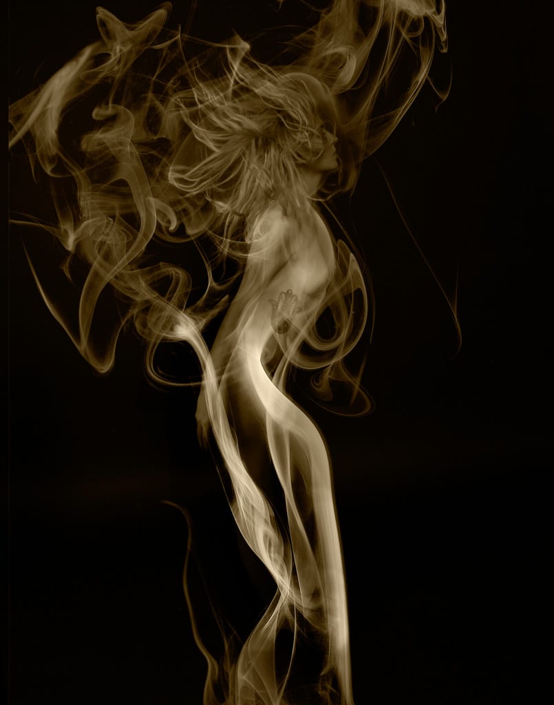 Nikon NPS Exhibition 2nd Runner up