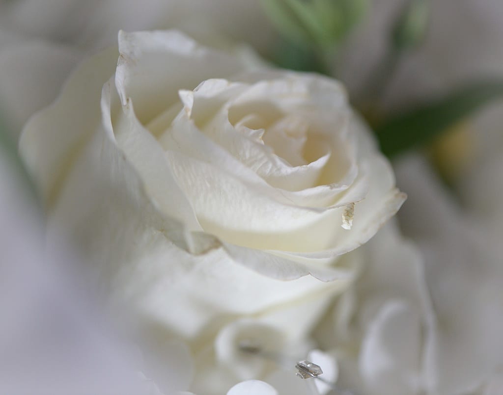 Toronto Wedding Photography