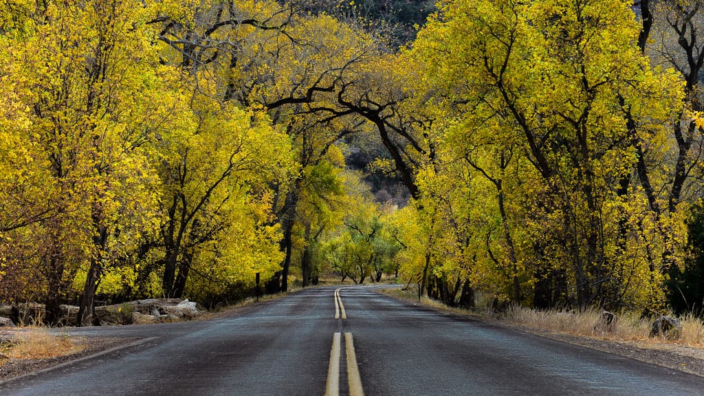 Zion National Park